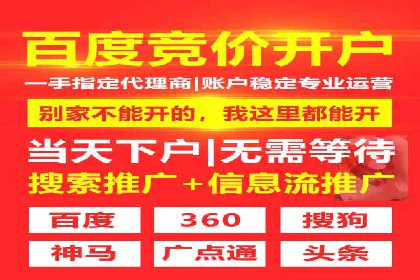 实战技巧：竞价推广案例解析与优化策略